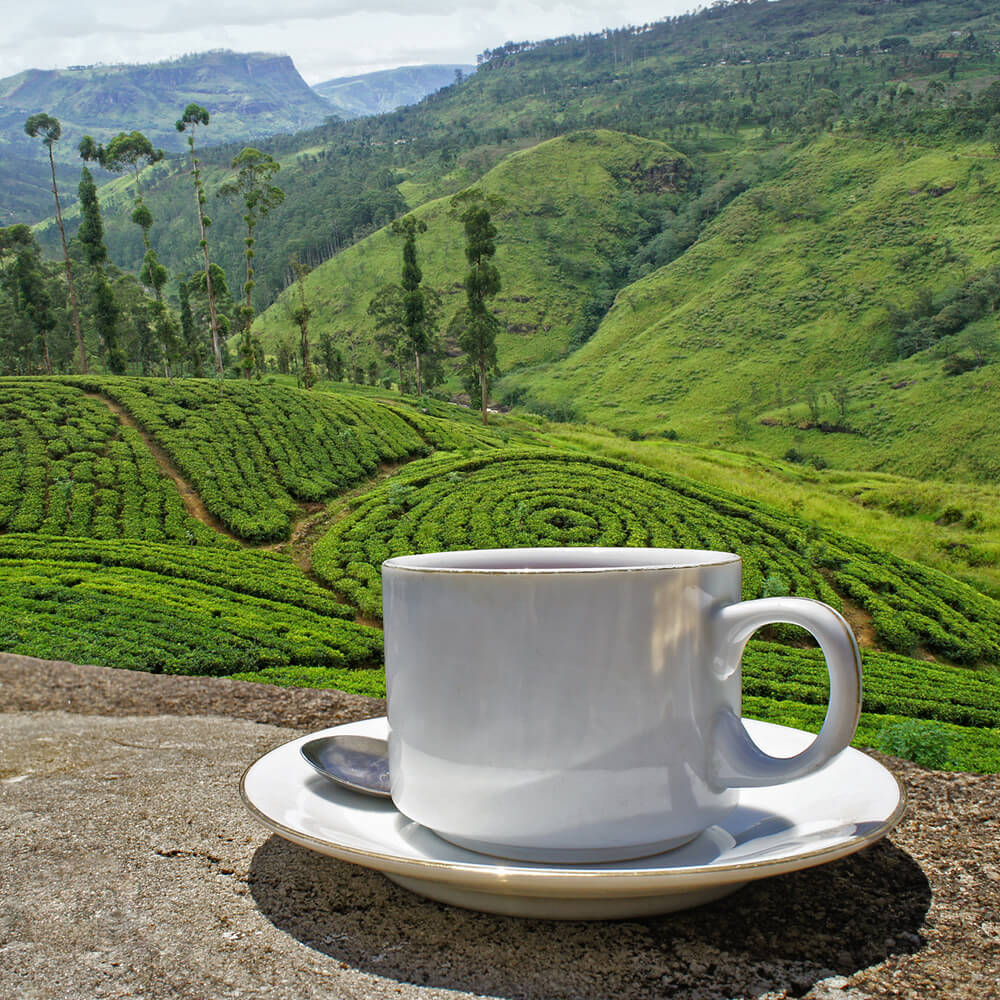 High Quality Organics Express Black Assam Tea Jar