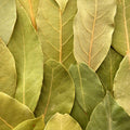High Quality Organics Express Bay Leaf Whole